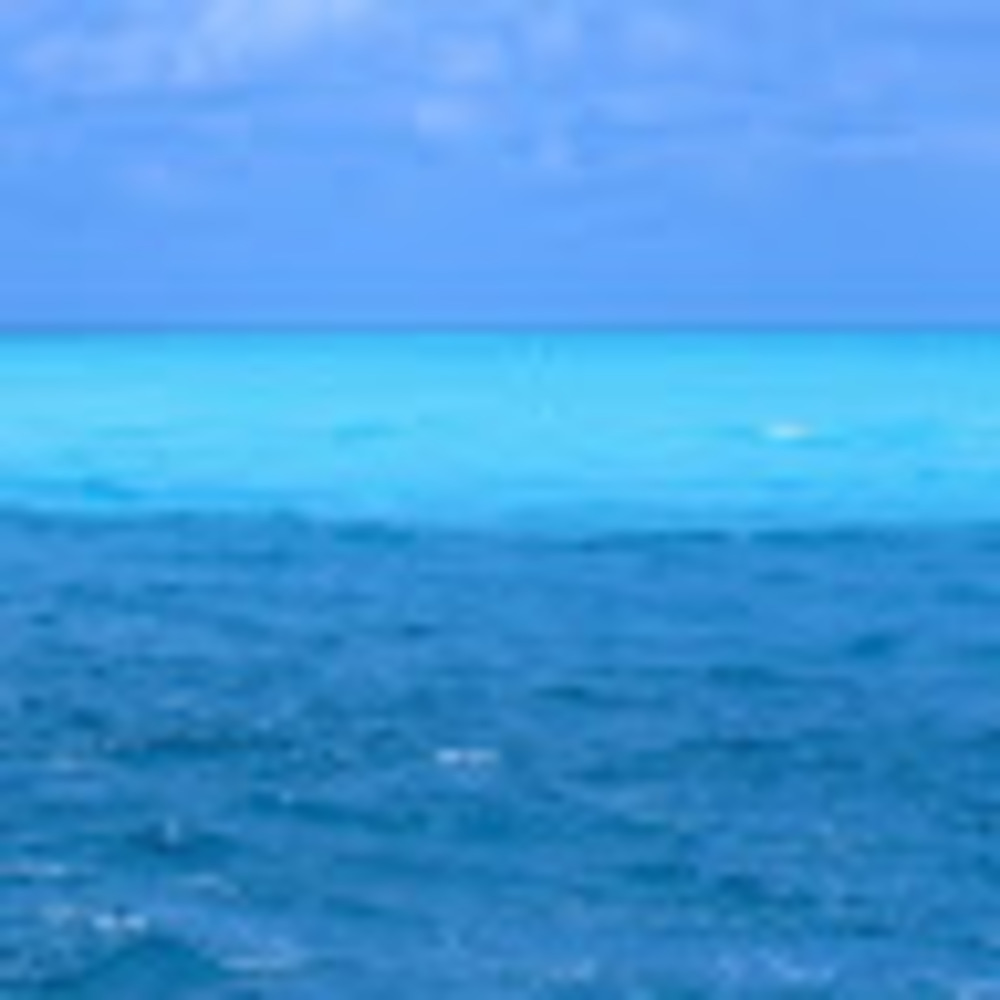 Meet your Posher, Autumn